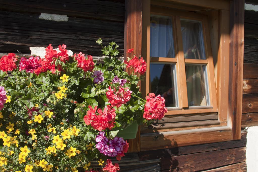 Schrunerhof Ebene Reichenau Rum bild