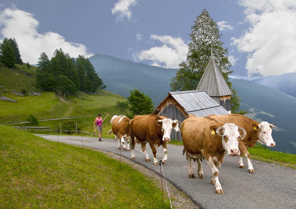 Schrunerhof Ebene Reichenau Rum bild