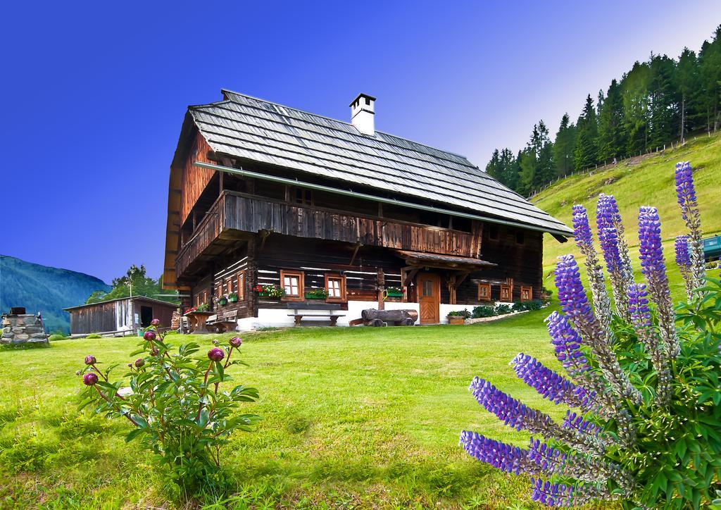 Schrunerhof Ebene Reichenau Rum bild