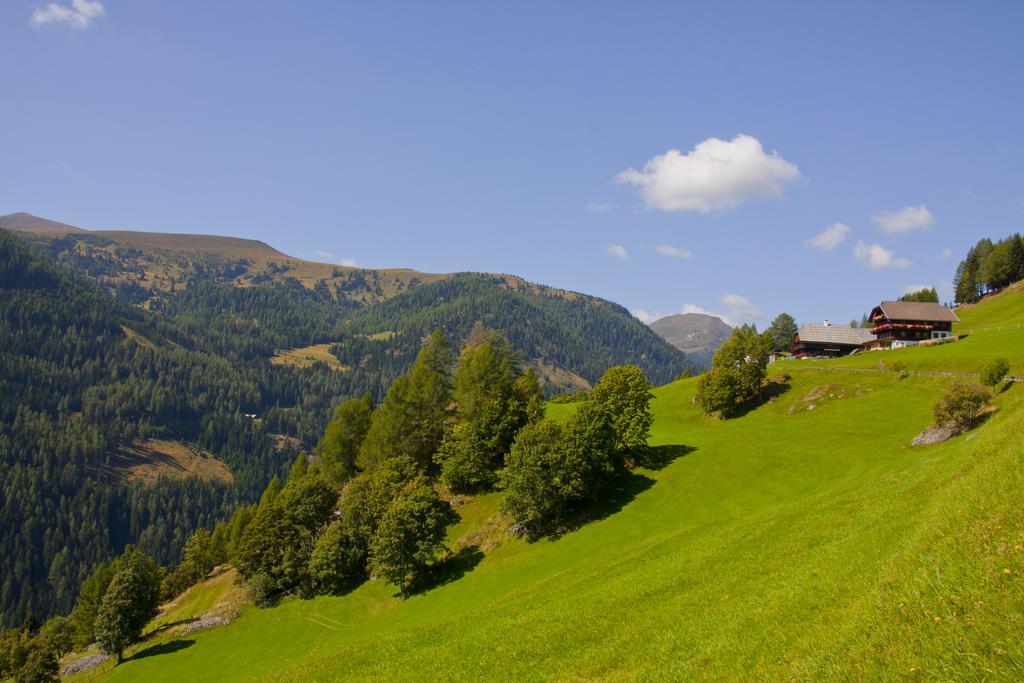 Schrunerhof Ebene Reichenau Rum bild