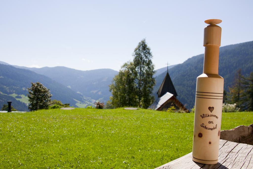 Schrunerhof Ebene Reichenau Rum bild