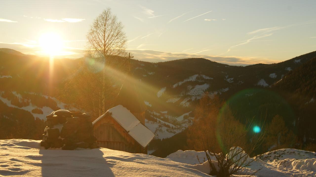 Schrunerhof Ebene Reichenau Exteriör bild
